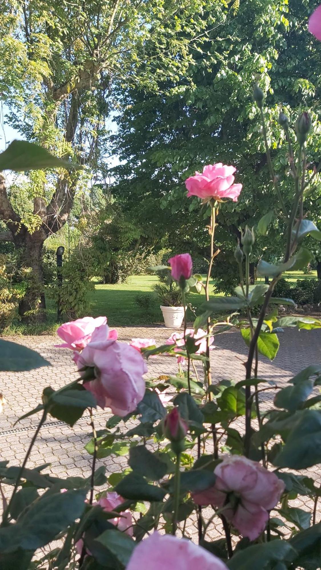 Villa Fioccomare Camaiore Eksteriør billede