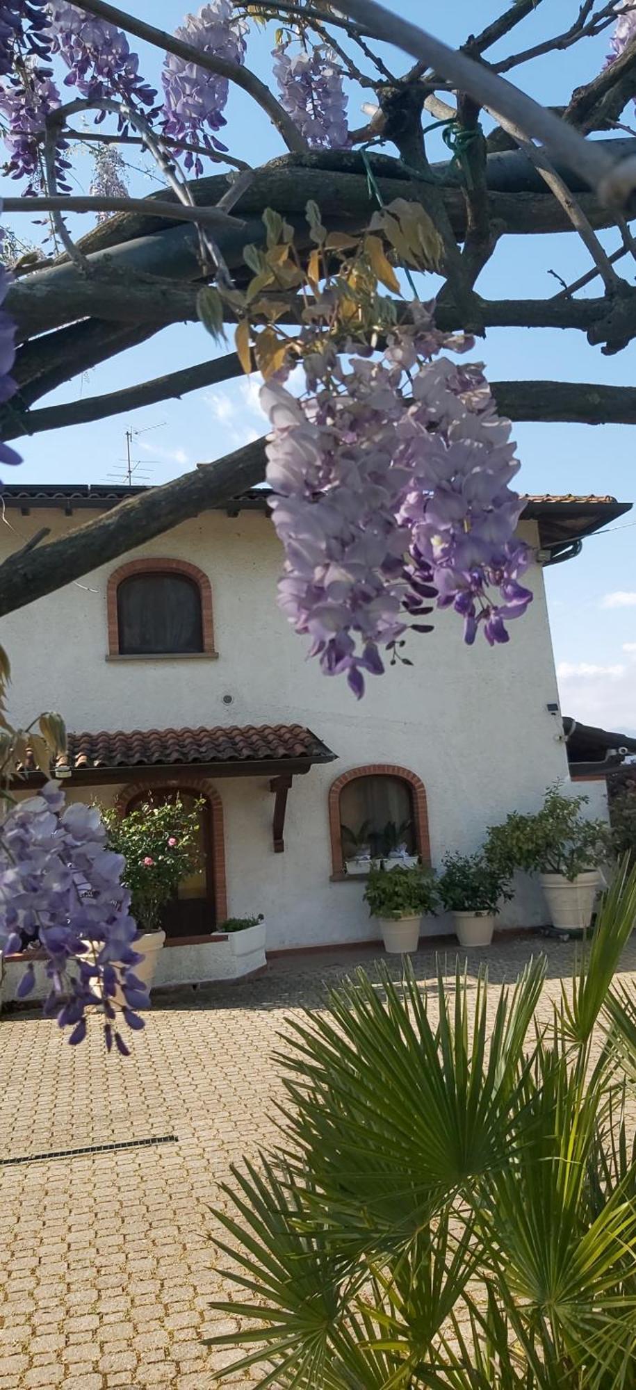 Villa Fioccomare Camaiore Eksteriør billede